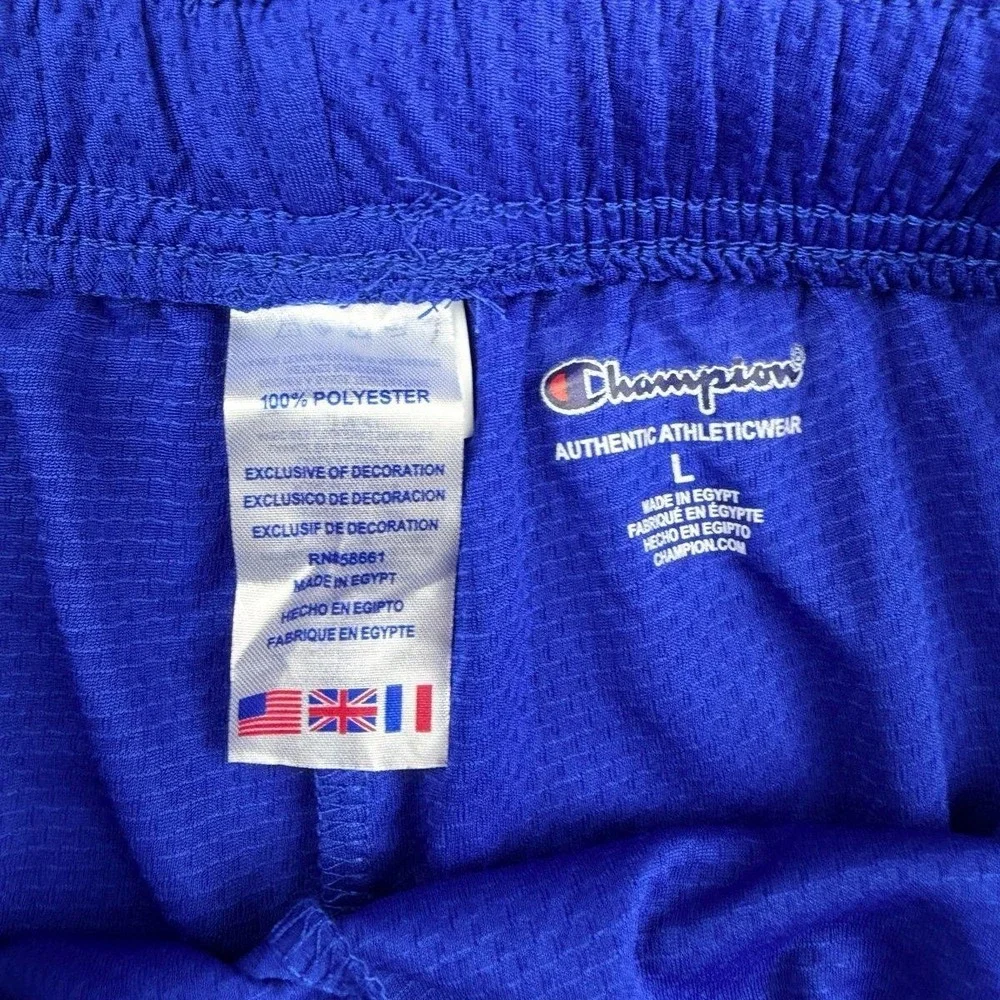 Champion Men's Mesh Athletic Gym Shorts Royal Blue White Side Pockets Size Large